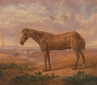 Vecchio Billy, un cavallo da tiro, di 62 anni da Charles Towne